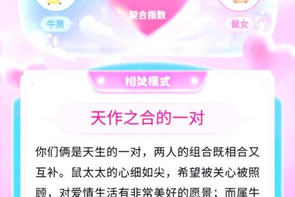 婚配 婚配指南如何找到最适合的伴侣 婚配 婚配指南如何找到最适合的伴侣