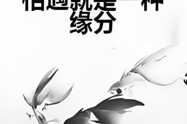 缘分的解释_缘分的解释是什么