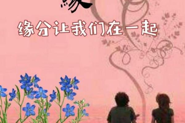 缘分让我们_缘分让我们相遇一段奇妙的人生旅程 缘分让我们_缘分让我们相遇一段奇妙的人生旅程