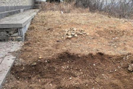 别乱栽树，坏了风水哭都来不及