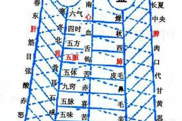 算命术为什么用五行金木水火土作算命的工具？