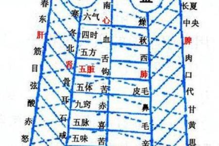 算命术为什么用五行金木水火土作算命的工具？