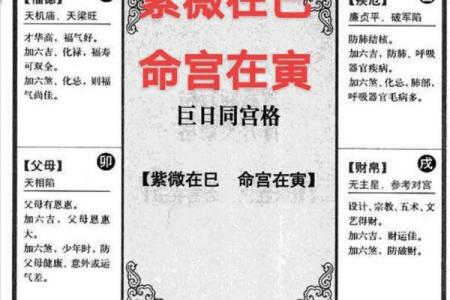 紫薇斗数干什么用的