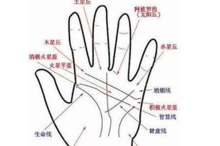 图解：手相上升线算命