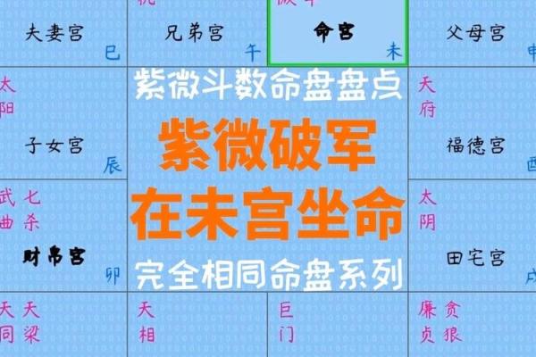 紫微斗数114种命盘 紫微斗数114种命盘