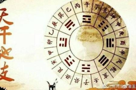 紫薇斗数中乾造