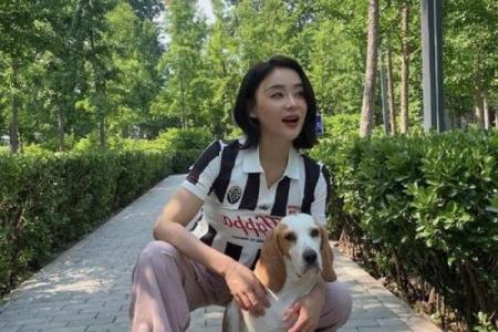 袁姗姗紫薇斗数