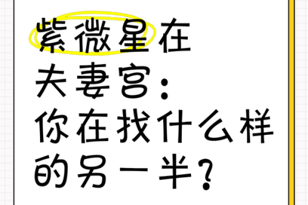 怕老婆的紫薇斗数 怕老婆的紫薇斗数
