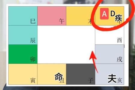 紫薇斗数壬化禄