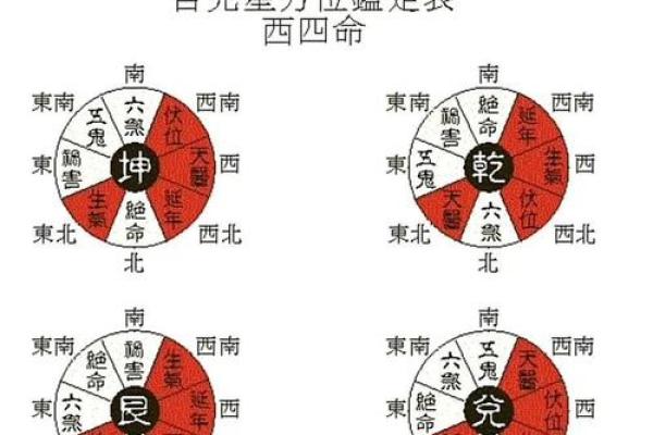 风水女人五行属什么命最好解答