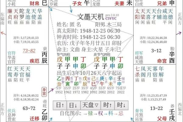 怎么解紫薇斗数
