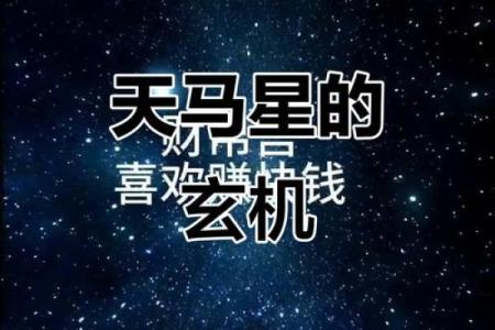 读万卷书不如行万里路，紫微斗数之天马星
