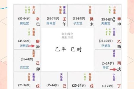 紫薇命盘详解免费版