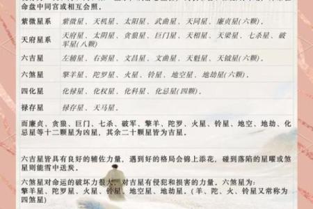 中国传统星象术紫薇斗数