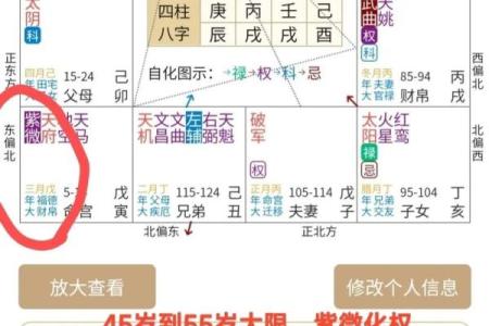 紫薇斗数app准吗