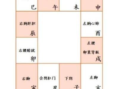 紫微斗数之看疾病／灾难