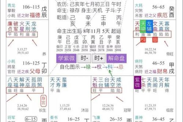 紫微斗数诸星落命宫之:天巫星详解 紫微斗数诸星落命宫之:天巫星详解