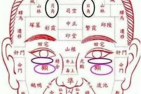 六害眉面相算命图解