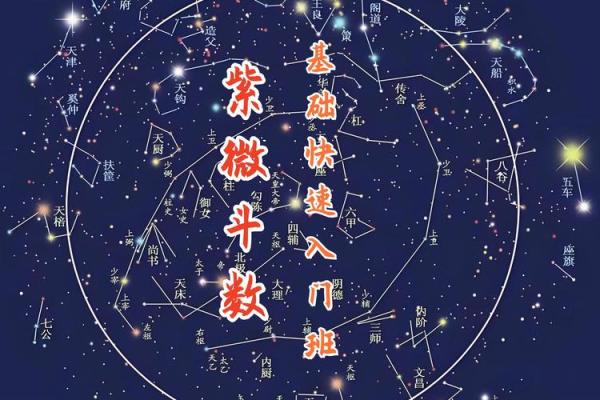 紫薇斗数适合做什么行业