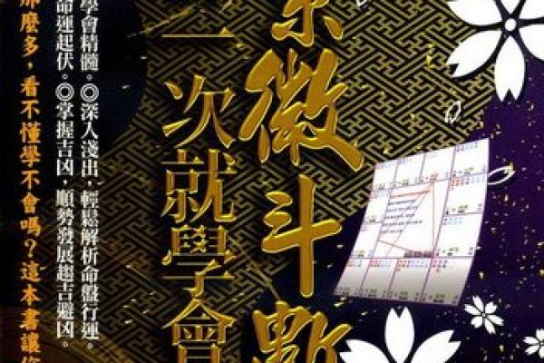 紫薇斗数看何时买车