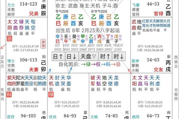 紫薇斗数全书4