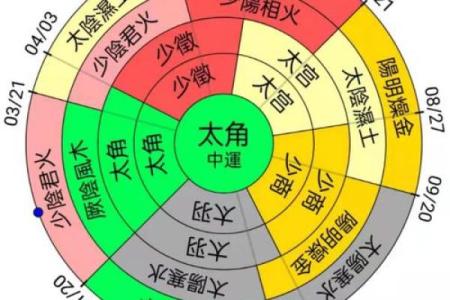 紫薇斗数壬寅年运