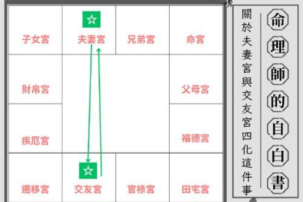 紫薇斗数会照什么意思