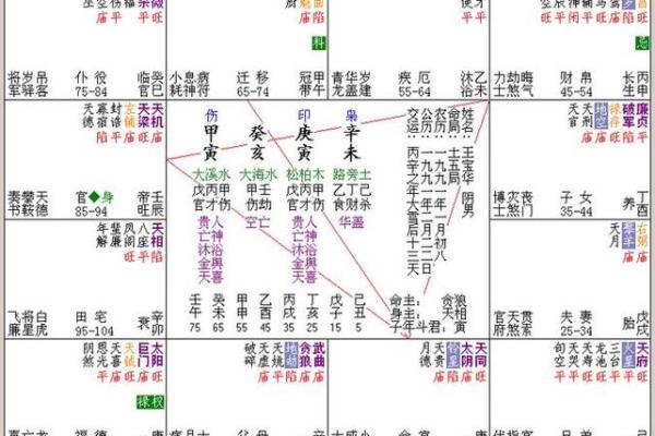 看紫薇斗数的人 看紫薇斗数的人