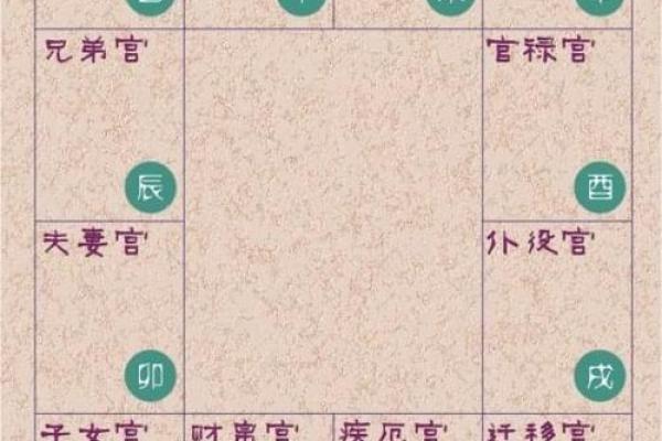 看紫薇斗数的人 看紫薇斗数的人