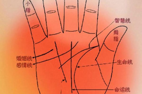 免费扫一扫看手相算命,扫一扫看手相算命