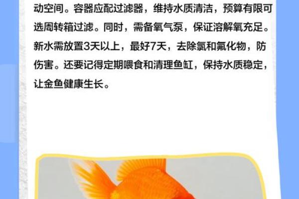 金鱼怎么养？养金鱼需要注意的风水