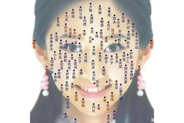 脸部黑痣算命图解