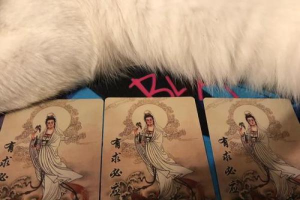 观音灵签可信