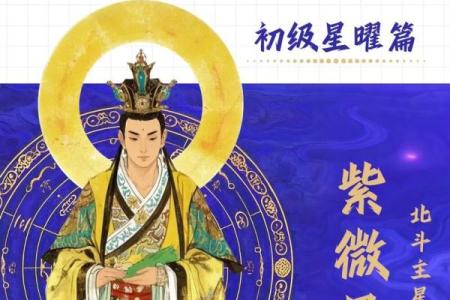 飞星紫微斗数原旨（斗数观测录）