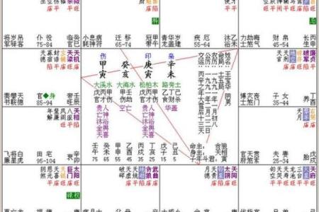 看紫薇斗数的人