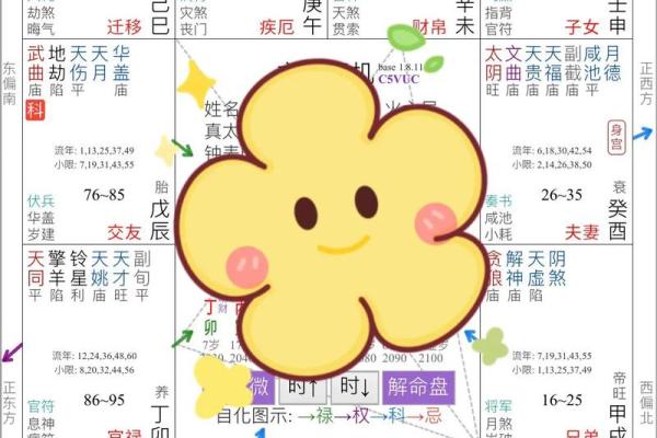 紫薇星化科入父母宫