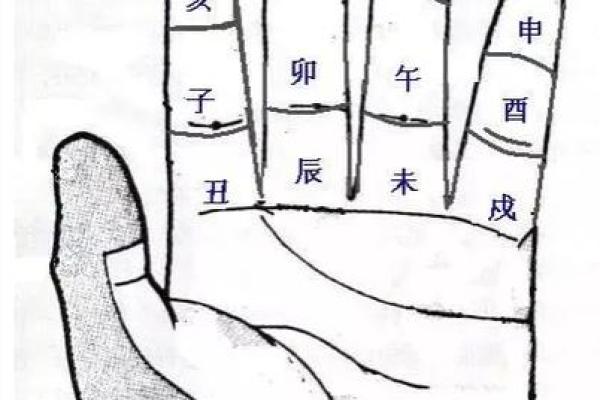 手相“影响线”算命图解