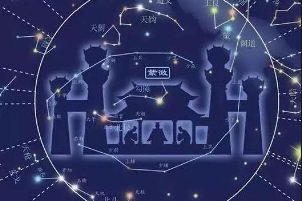 命带紫薇星是什么