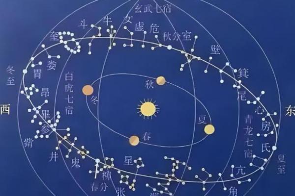 命带紫薇星是什么
