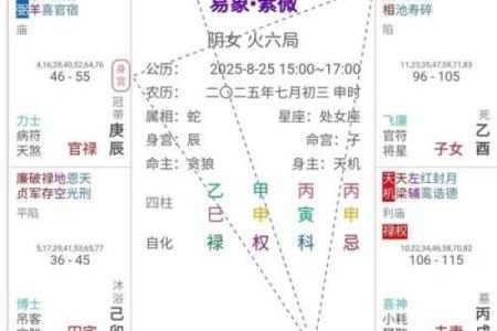 紫薇斗数如何计算