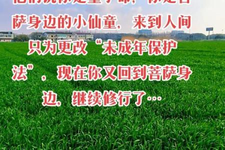 小姑子的儿子算命的说是童子命