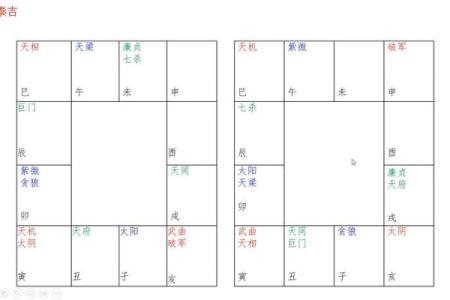 双星紫薇斗数