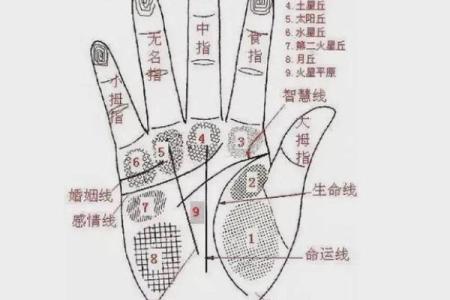 手相“影响线”算命图解