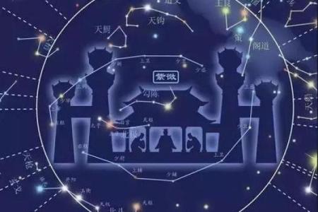 命带紫薇星是什么