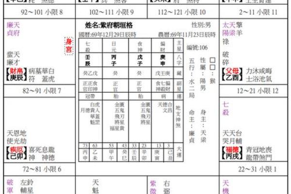 紫薇斗数每个格子什么内容
