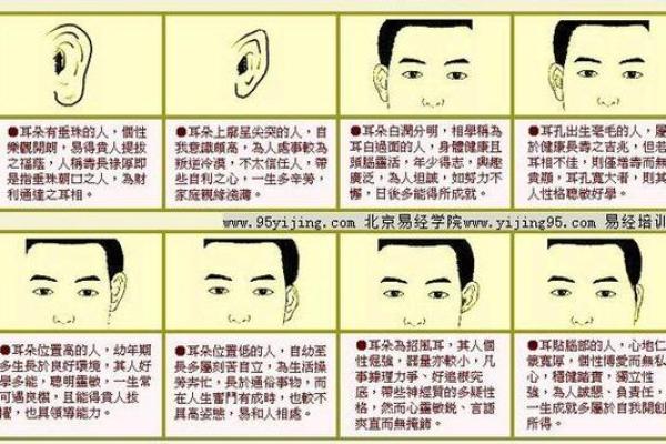 风水天生耳朵小的人运势