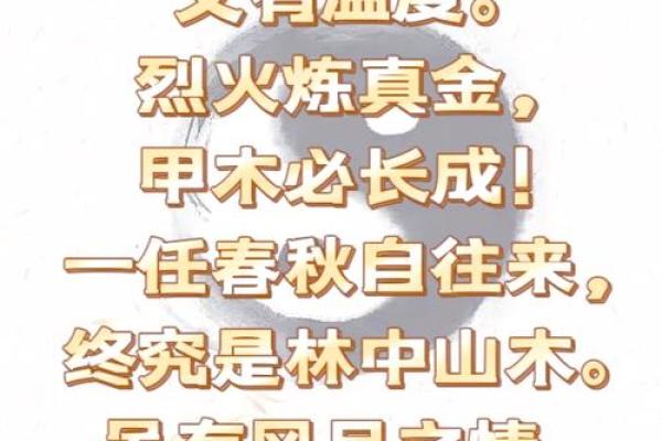 算命说的甲木命是什么 算命说的甲木命是什么