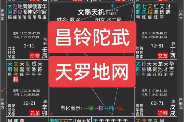 紫薇斗数算读书