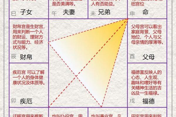 紫微斗数单身 紫微斗数看婚后生活？