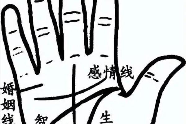 手相指纹算命图解